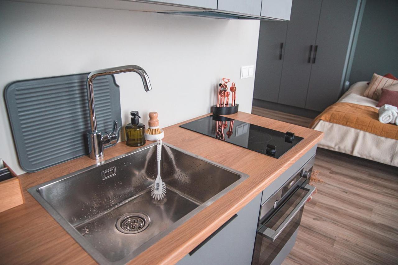 Cozy Studio By The City Centre Apartment เรคยาวิก ภายนอก รูปภาพ
